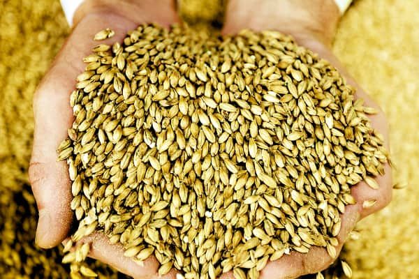 Handful of Malt for a Braggot
